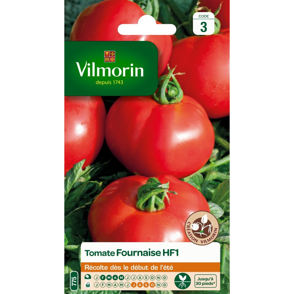 Tomate Fournaise F1 - Vilmorin