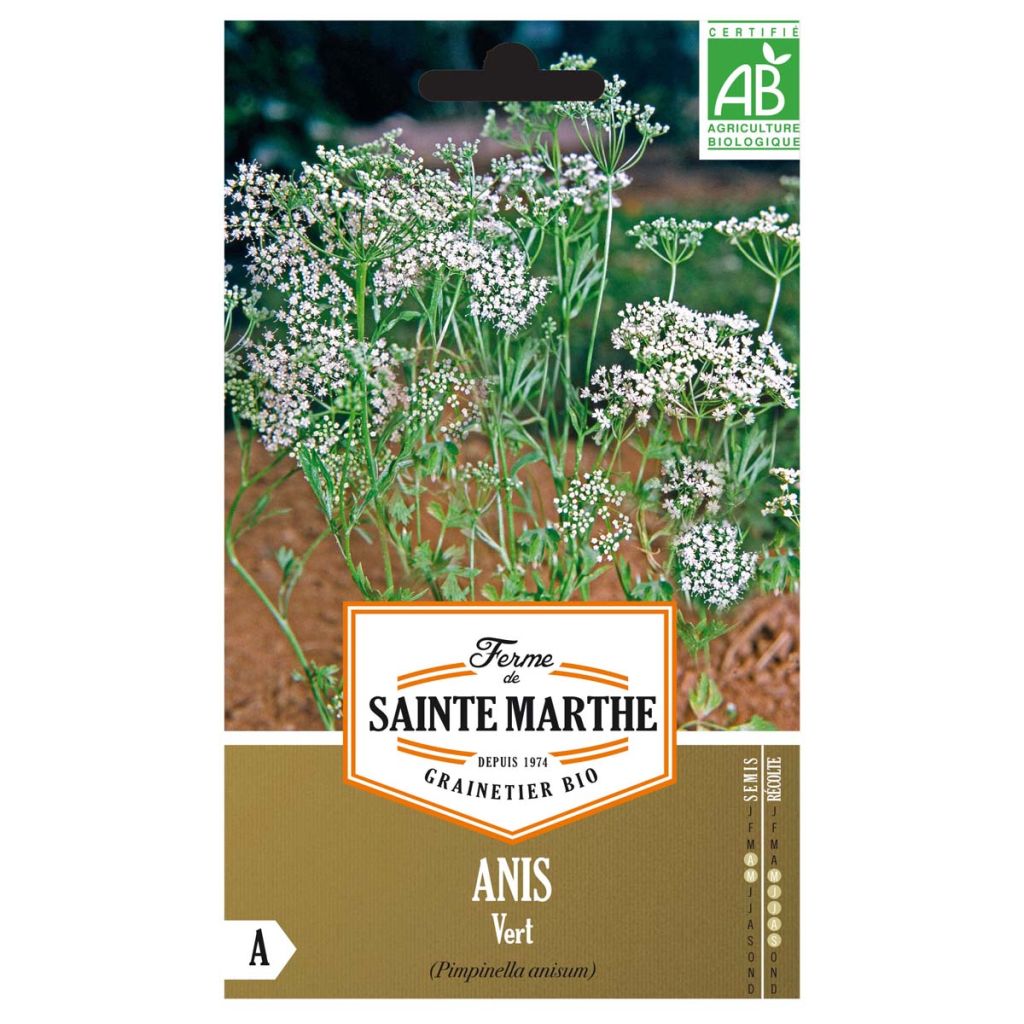 Anis vert AB - Ferme de Ste Marthe