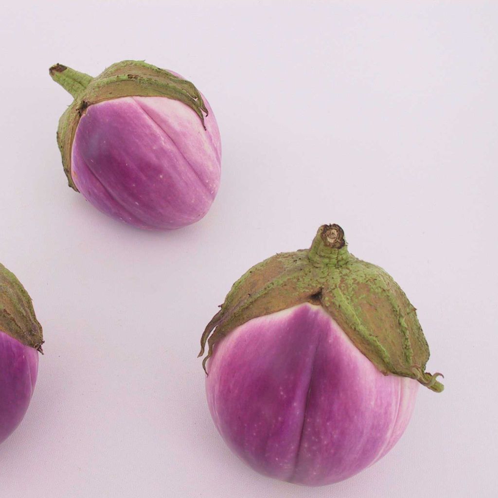 Berenjena Aubergine Rotonda Bianca Sfumata Di Rosa