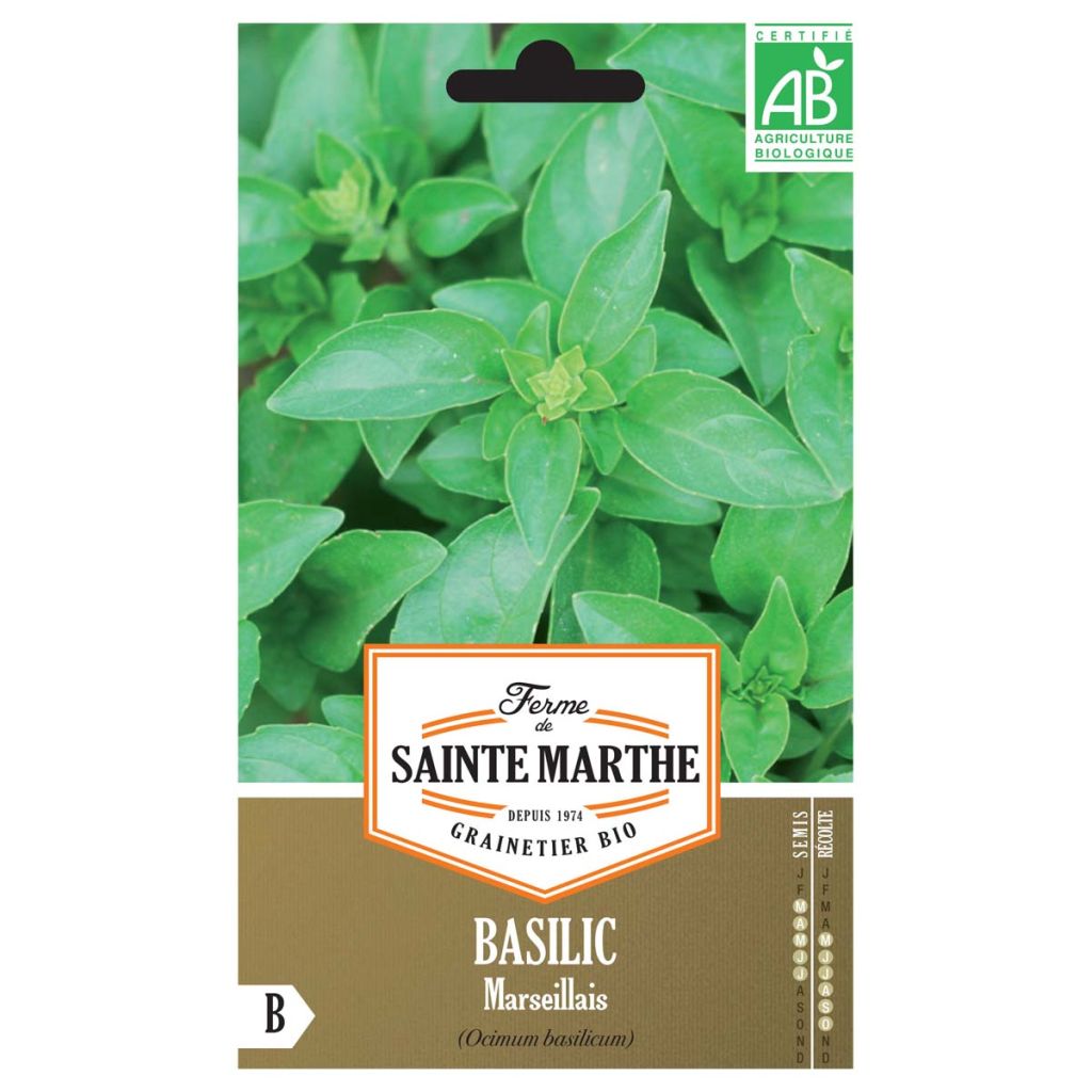 Basilic Marseillais - Ferme de Ste Marthe