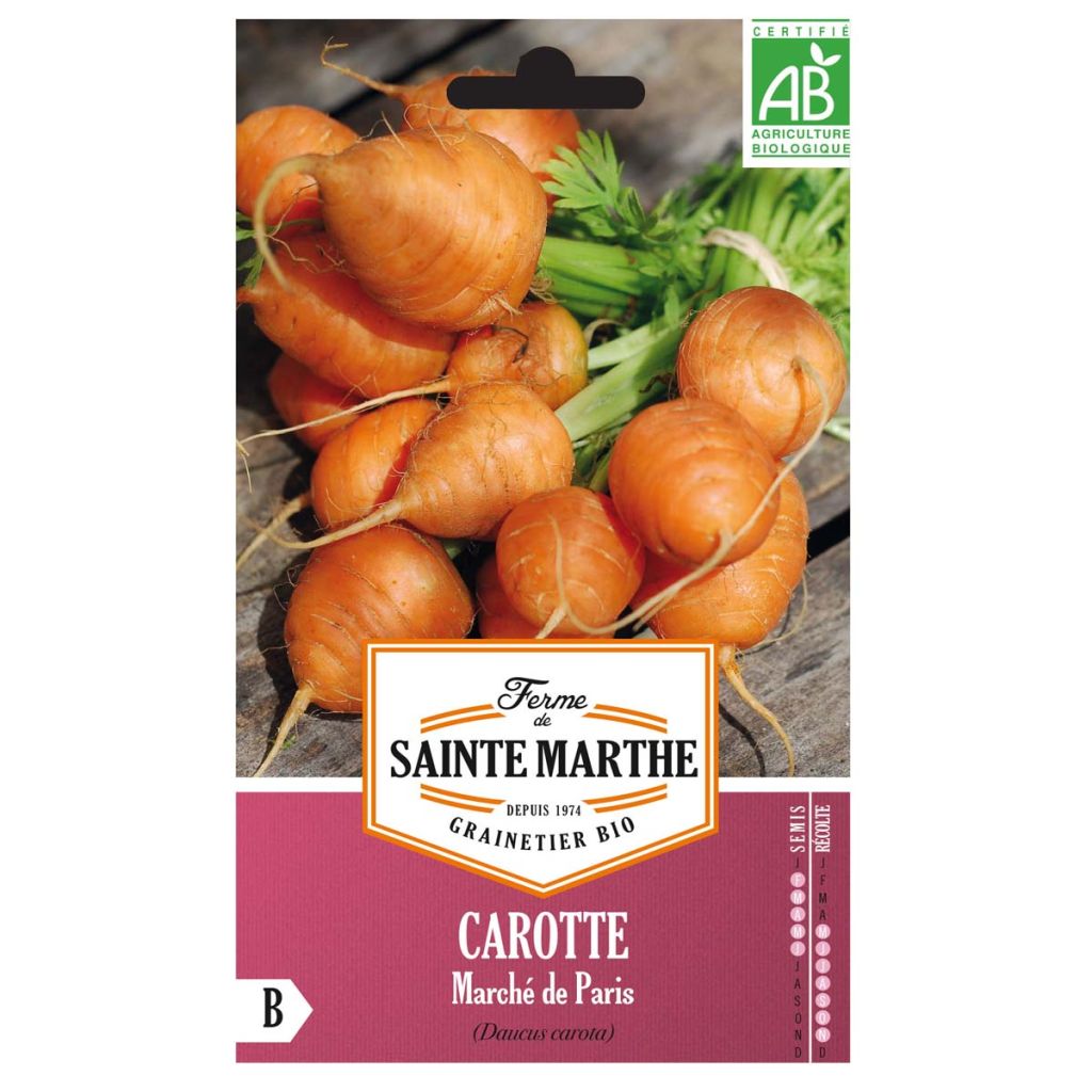 Zanahoria Marché de Paris Bio - Ferme de Sainte Marthe