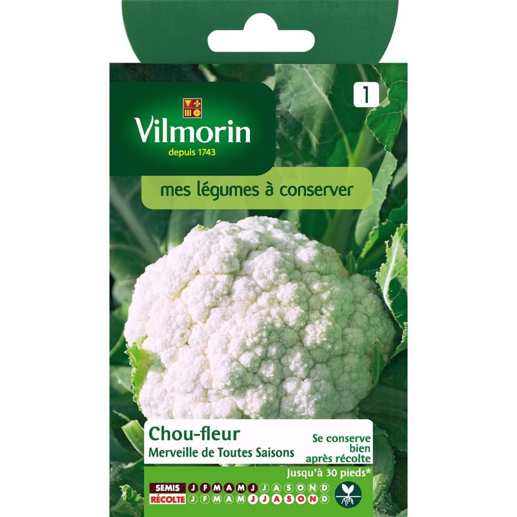 Coliflor Merveille de Toutes Saisons - Vilmorin