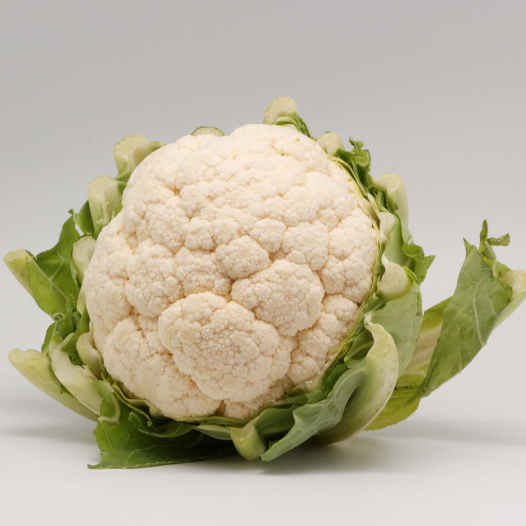 Coliflor Thabor