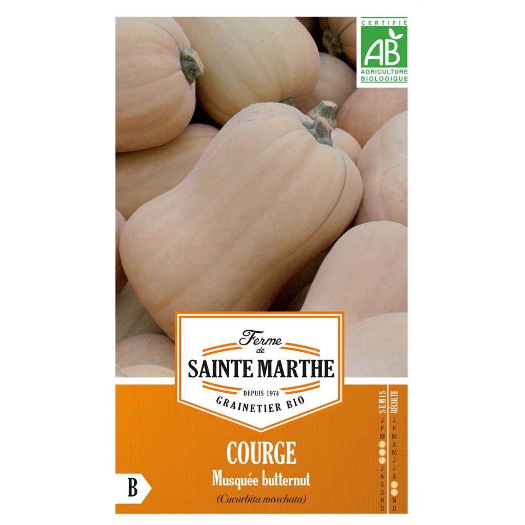 Calabacita amarilla Musquée Butternut