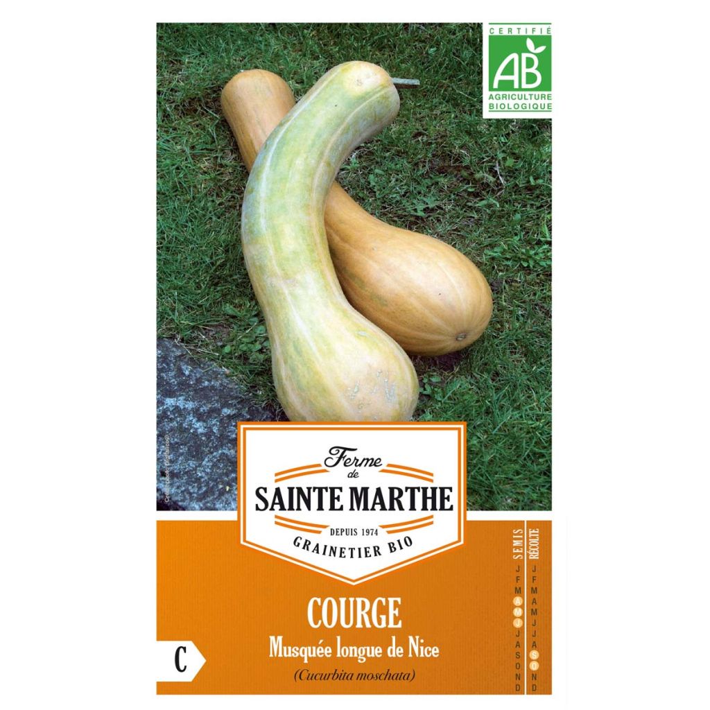 Calabacita amarilla Musquée Longue de Nice