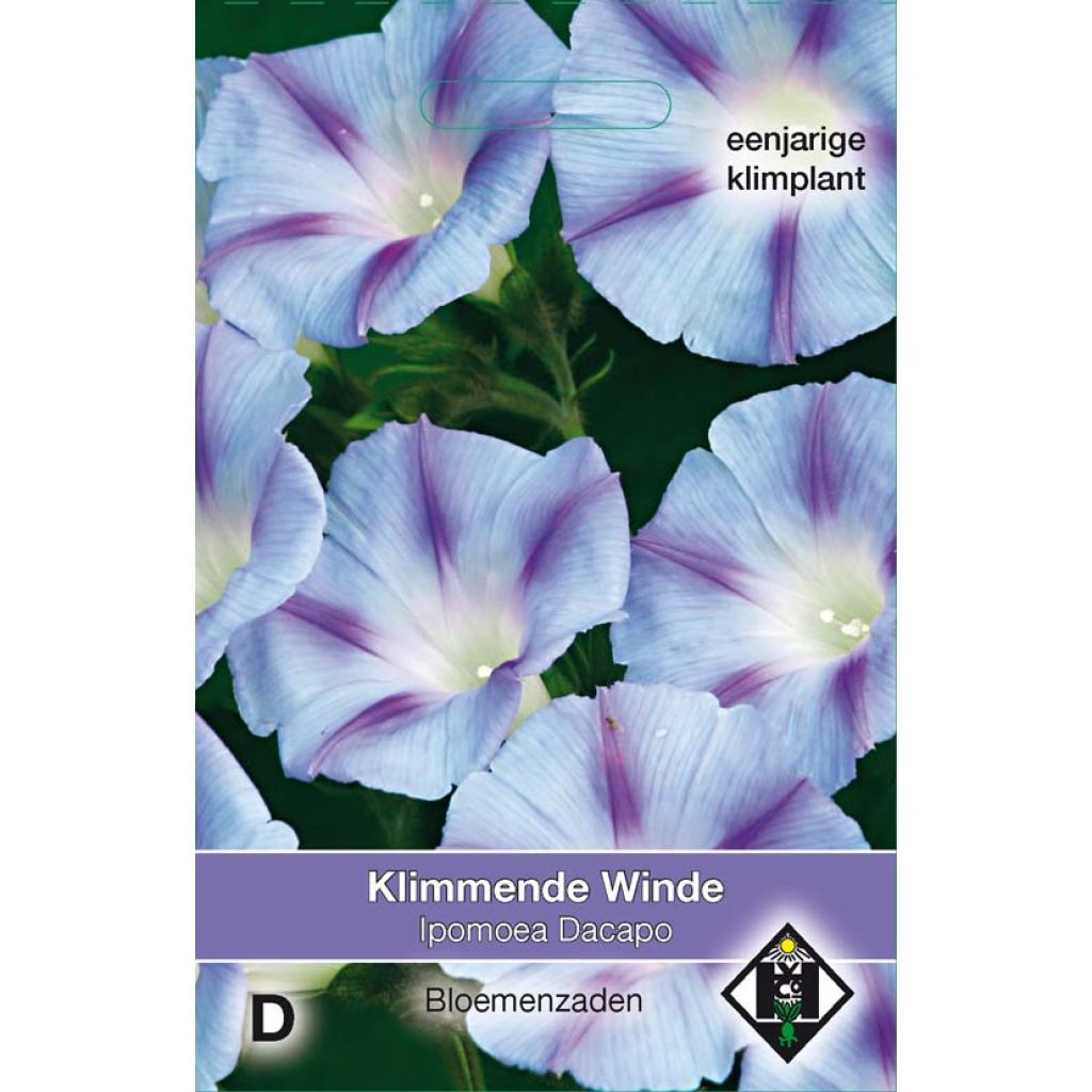 Ipomoea purpurea Dacapo Light Blue