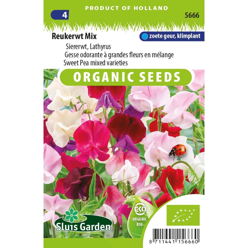 Guisante de olor Mix - Lathyrus odoratus