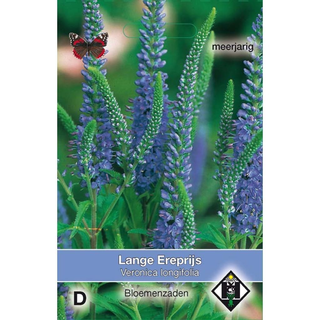 Veronica longifolia (semillas) - Verónica de hojas largas