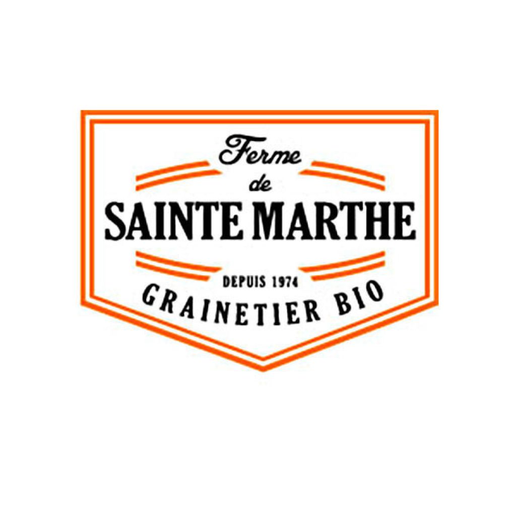 Laitue Sucrine Bio - Ferme de Sainte Marthe