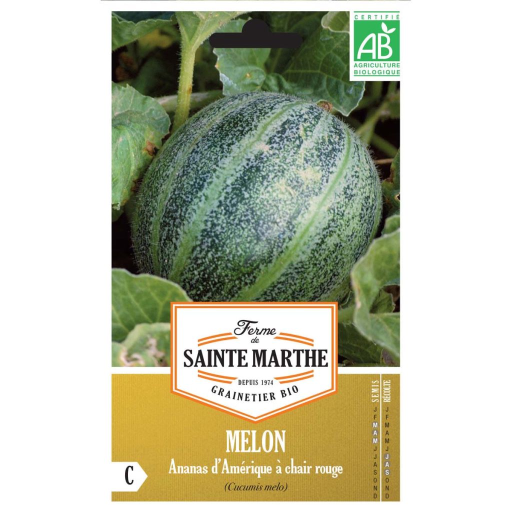 Melón Ananas d'Amérique