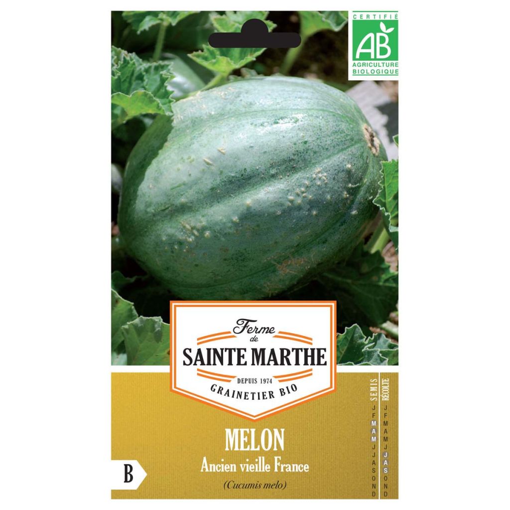 Melón Ancien Vieille France