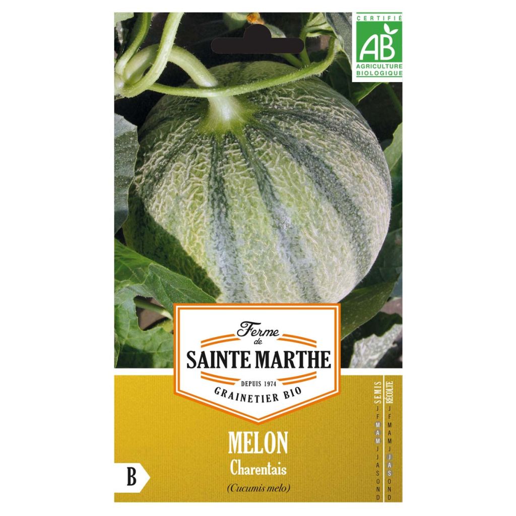 Melón Charentais Bio - Ferme de Sainte Marthe