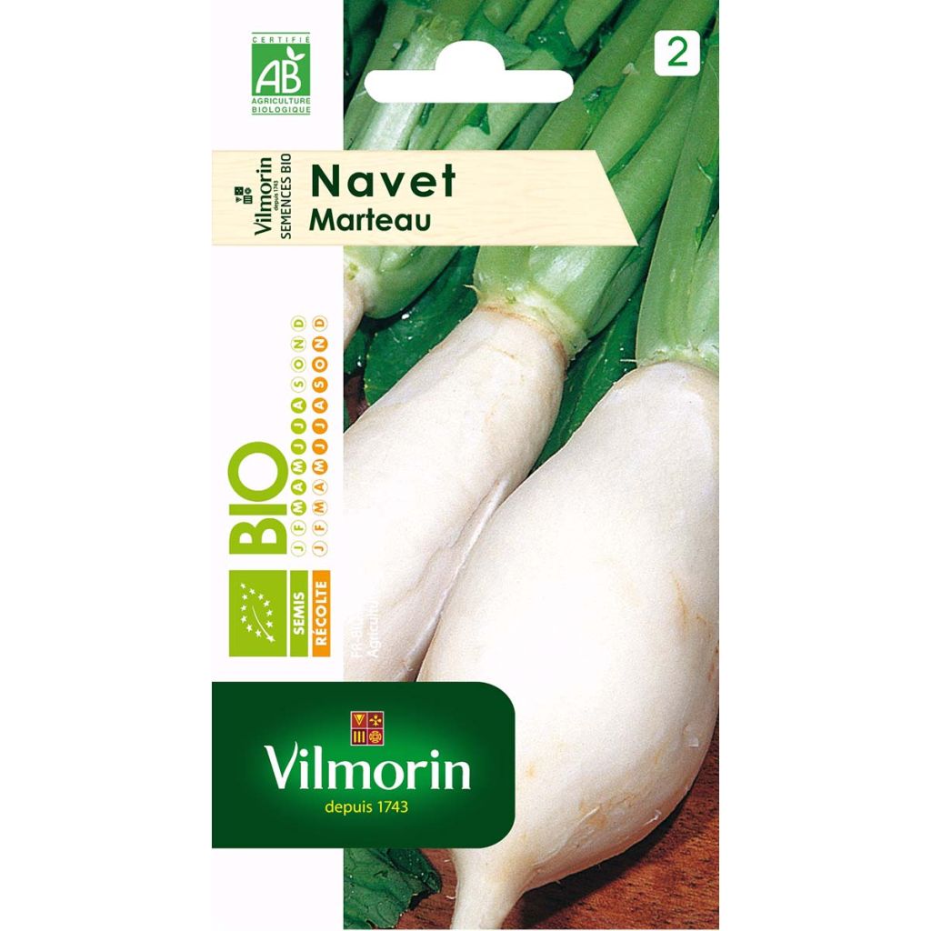 Nabo Marteau Bio - Vilmorin