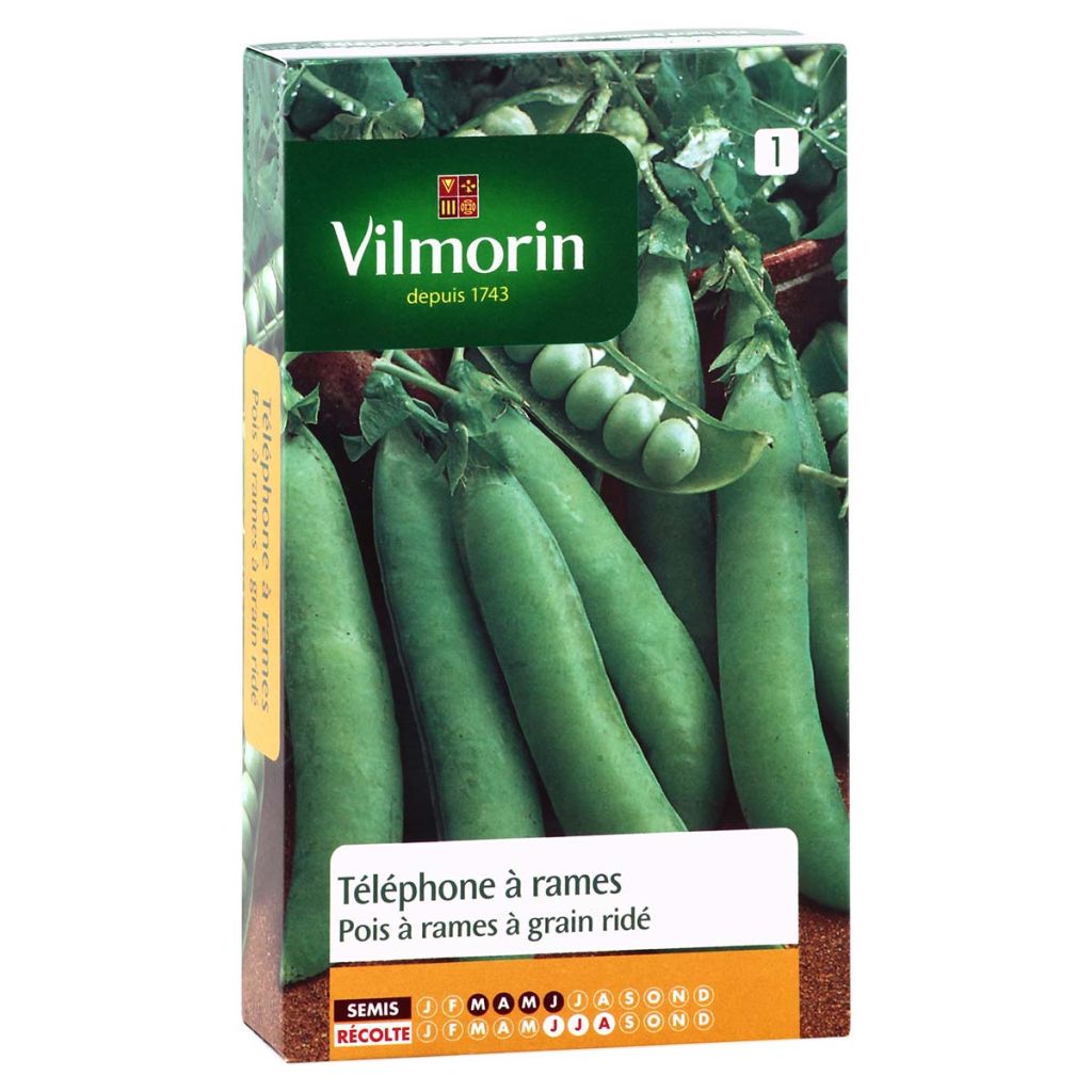 Guisantes verdes Téléphone à rames