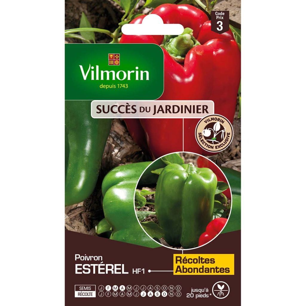 Pimiento Estérel F1