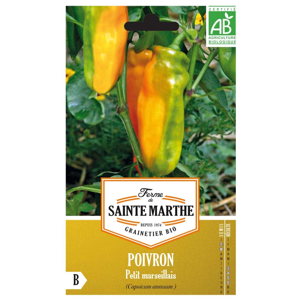 Pimiento Petit Marseillais Bio - Ferme de Sainte Marthe