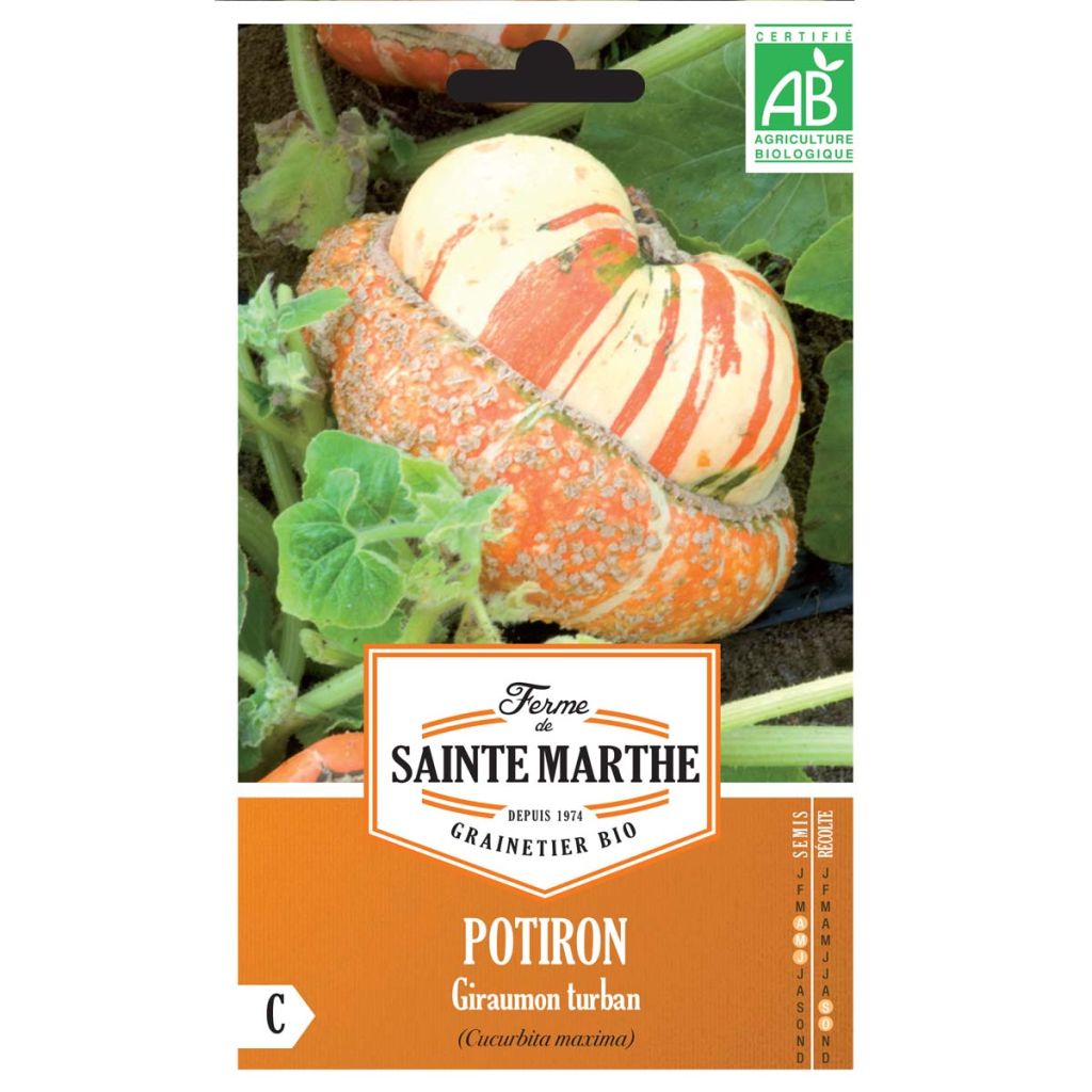 Calabaza Giraumon Turban Bio - Ferme de Sainte Marthe