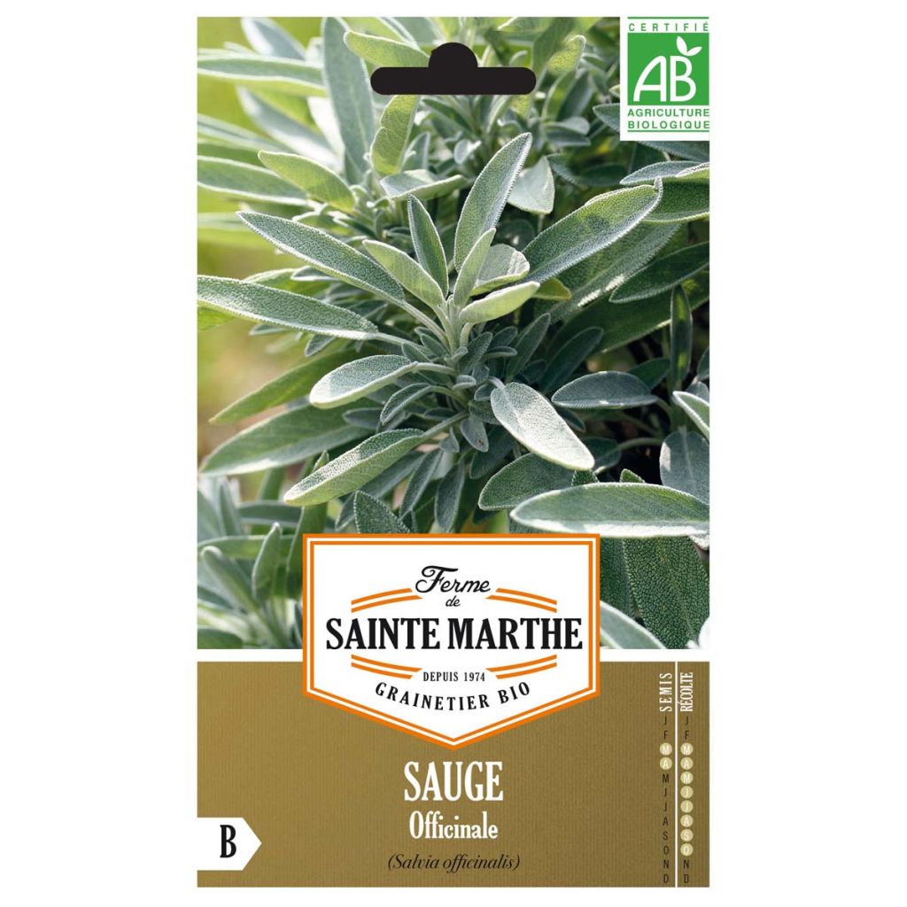 Salvia real Bio - Ferme de Sainte Marthe