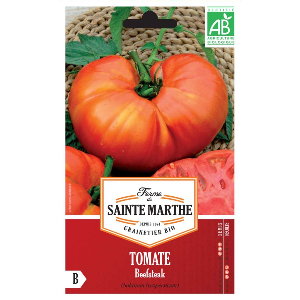 Tomate Beefsteak AB - Ferme de Ste Marthe