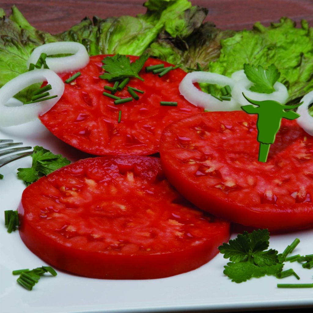 Tomate Buffalo Steak F1 (Plantas de tomate injertadas)