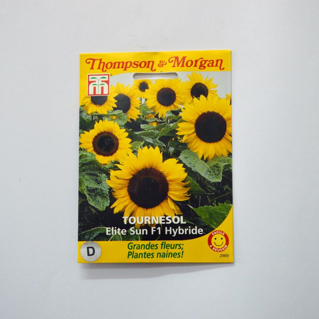 Graines de Tournesol Elite Sun - Helianthus annuus x F1 Elite Sun