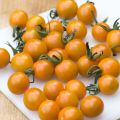 Tomate cherri Cherry Orange