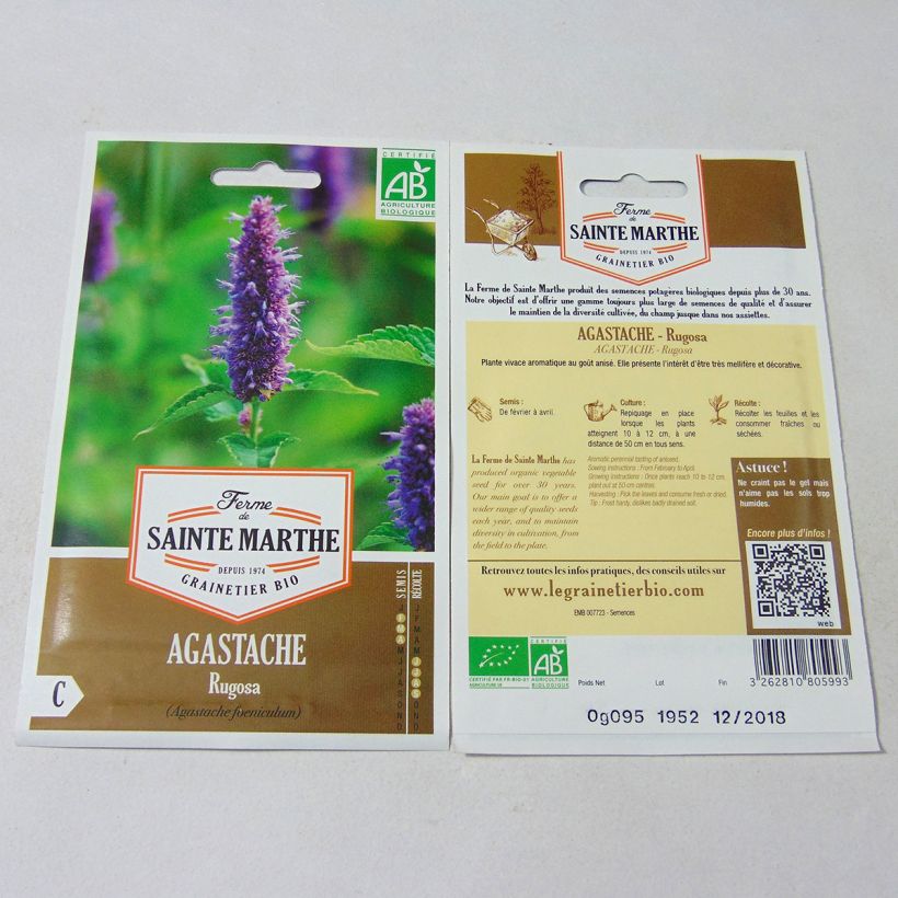 Ejemplo de ejemplar de Agastache rugosa Bio - Ferme de Sainte Marthe - Menta coreana tal y como se entrega