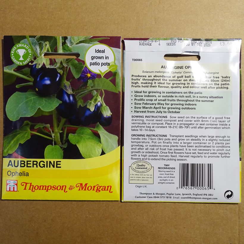 Ejemplo de ejemplar de Aubergine Ophelia F1 - Solanum melongea Graines tal y como se entrega