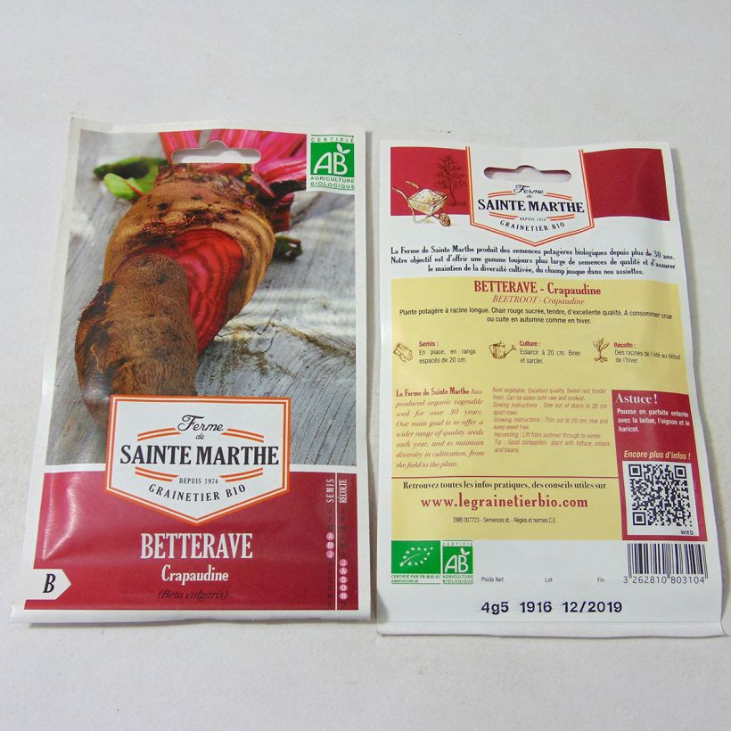 Ejemplo de ejemplar de Betterave Crapaudine Bio - Ferme de Sainte Marthe Graines tal y como se entrega