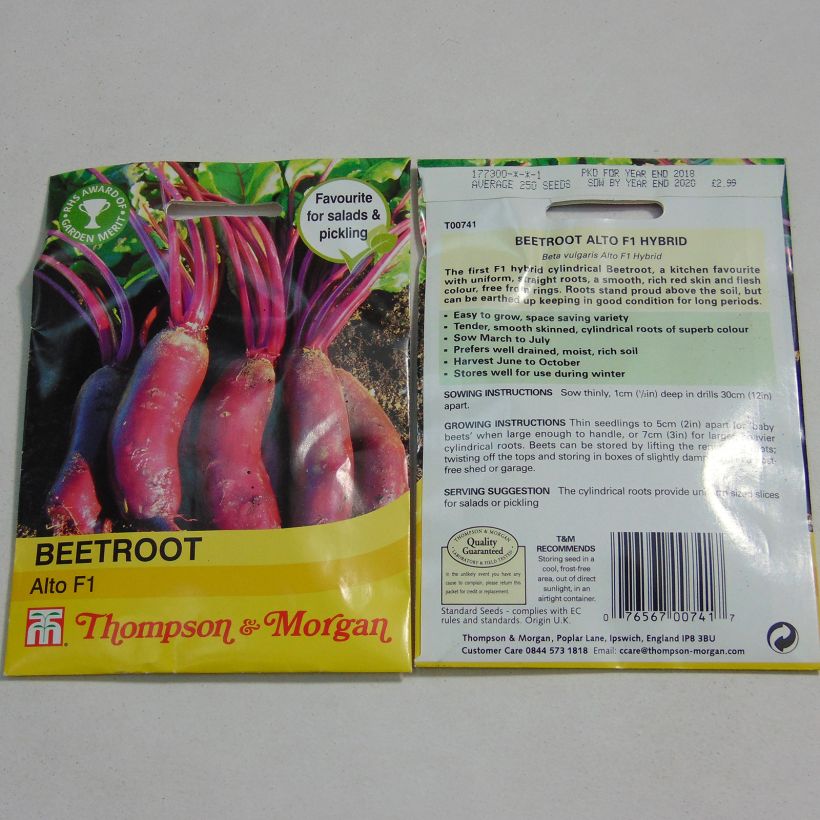 Ejemplo de ejemplar de Betterave rouge Alto F1 - Beta vulgaris Graines tal y como se entrega