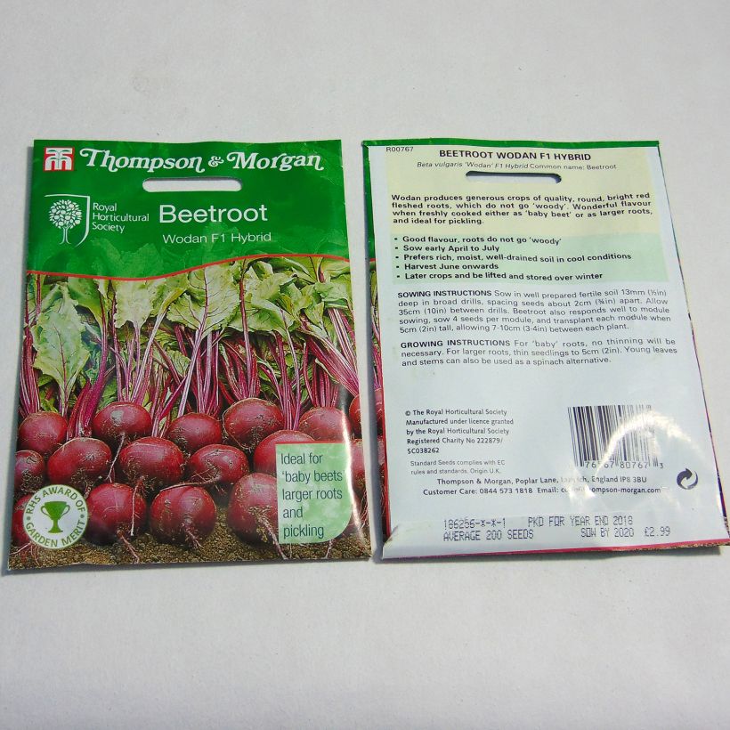 Ejemplo de ejemplar de Betterave rouge Wodan F1 - Beta vulgaris Graines tal y como se entrega