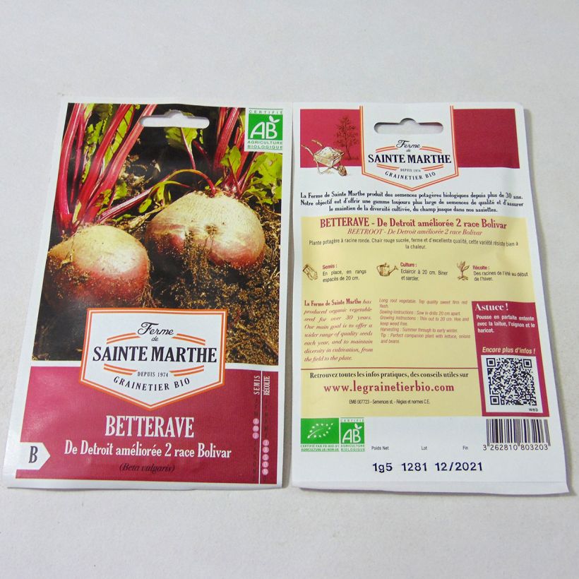 Ejemplo de ejemplar de Betterave rouge de Detroit Améliorée 2 race Bolivar Bio- Ferme de Sainte Marthe Graines tal y como se entrega