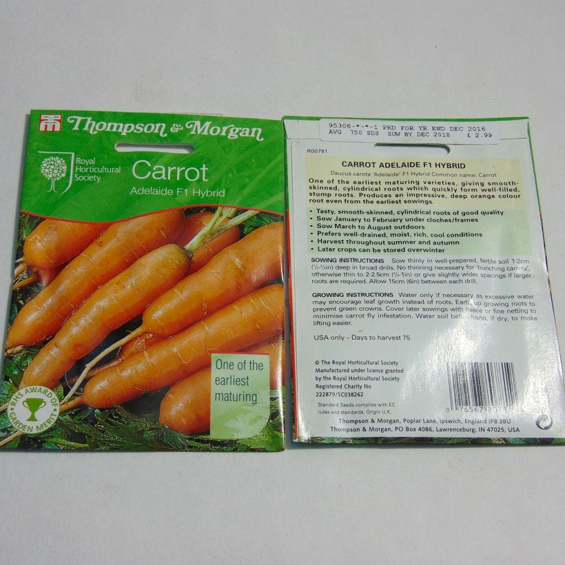 Ejemplo de ejemplar de Carotte Adelaide F1  - Daucus carota  Graines tal y como se entrega