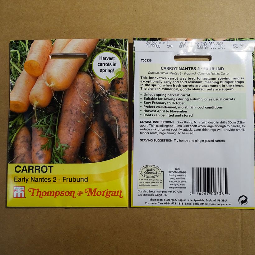 Ejemplo de ejemplar de Carotte Nantes 2 - Frubund - Daucus carota  Graines tal y como se entrega