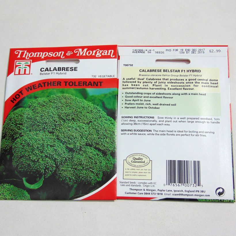 Ejemplo de ejemplar de Chou Brocoli Belstar F1 Graines tal y como se entrega