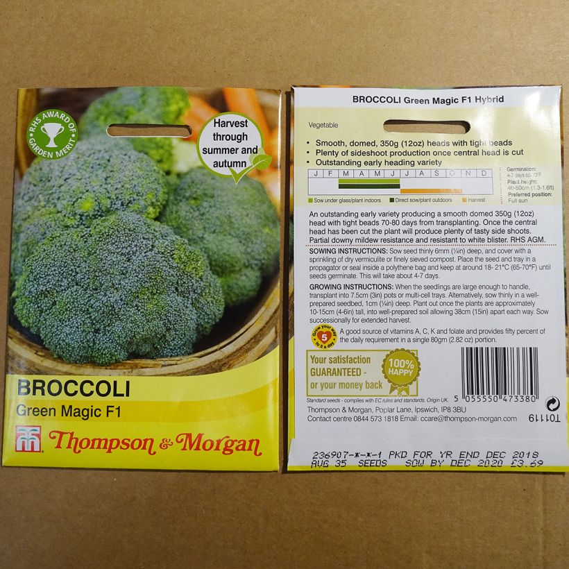 Ejemplo de ejemplar de Chou Brocoli Green Magic F1 Graines tal y como se entrega