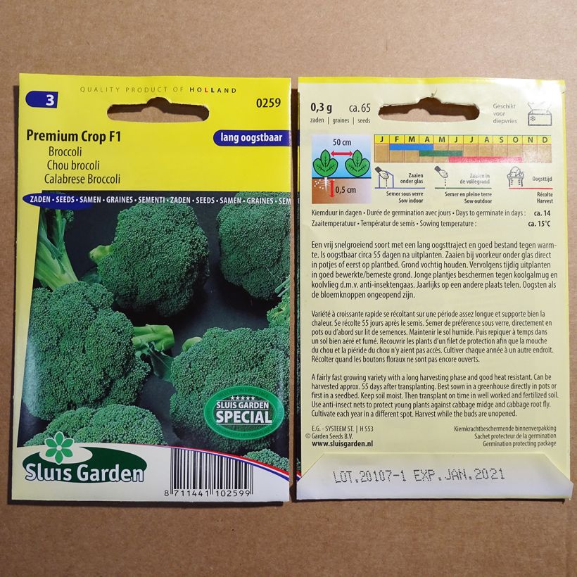 Ejemplo de ejemplar de Chou Brocoli Premium Crop F1 Graines tal y como se entrega