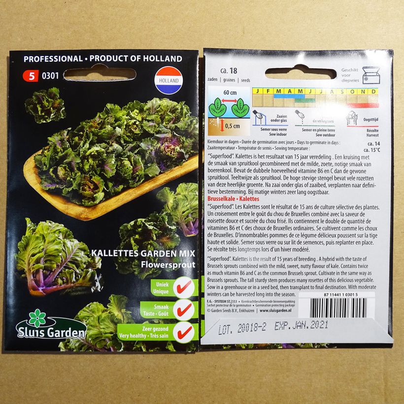 Ejemplo de ejemplar de Repollo ornamental Flower Sprout - Kalettes Garden Mix tal y como se entrega