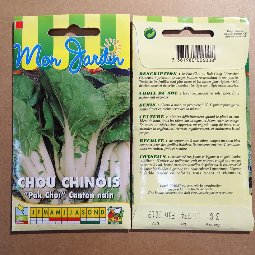 Ejemplo de ejemplar de Chou de Chine Pak Choi Canton nain - Brassica pekinensis Graines tal y como se entrega