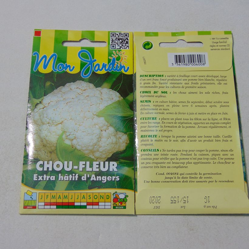 Ejemplo de ejemplar de Chou-fleur Extra-Hâtif d'Angers - Brassica oleracea Graines tal y como se entrega