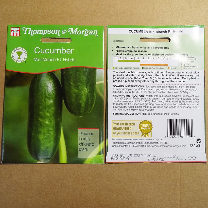 Ejemplo de ejemplar de Concombre Mini Munch - Cucumis sativus Graines tal y como se entrega