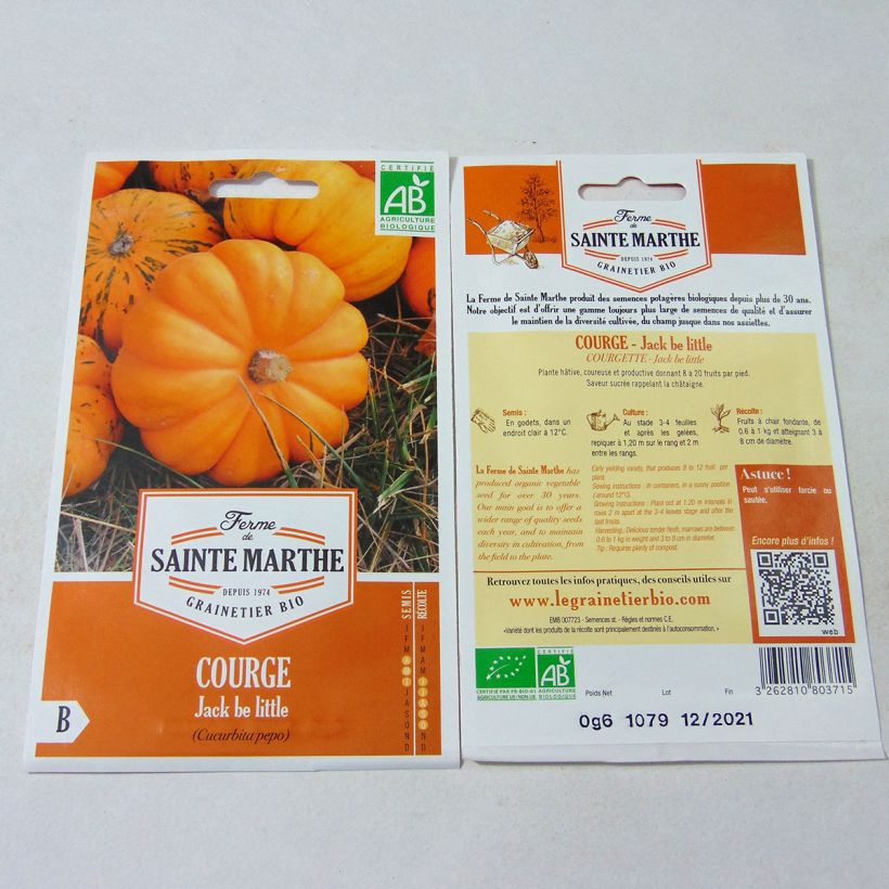 Ejemplo de ejemplar de Courge Jack Be Little Bio - Ferme de Sainte Marthe Graines tal y como se entrega