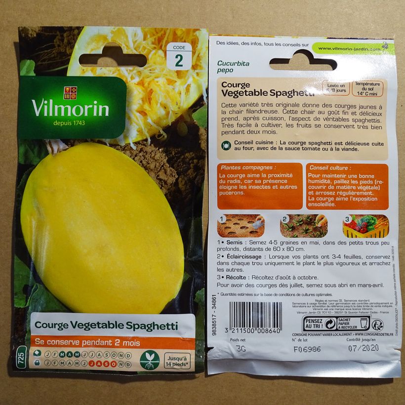 Ejemplo de ejemplar de Courge Spaghetti végétal - Vilmorin Graines tal y como se entrega