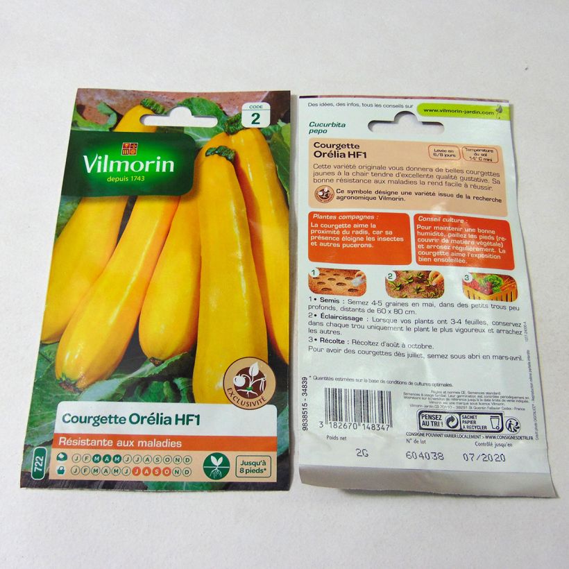 Ejemplo de ejemplar de Courgette Orelia F1 (peau jaune) - Vilmorin Graines tal y como se entrega