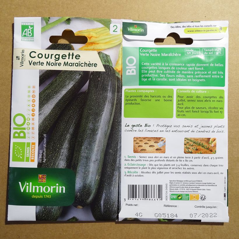 Ejemplo de ejemplar de Courgette verte noire maraîchère Bio - Vilmorin Graines tal y como se entrega