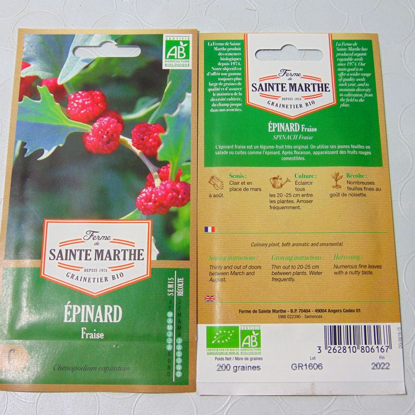 Ejemplo de ejemplar de Epinard Fraise Bio - Ferme de Sainte Marthe  Graines tal y como se entrega