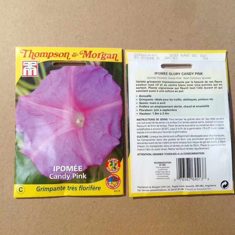 Ejemplo de ejemplar de Graines d'Ipomée Candy Pink - Ipomoea purpurea Graines tal y como se entrega