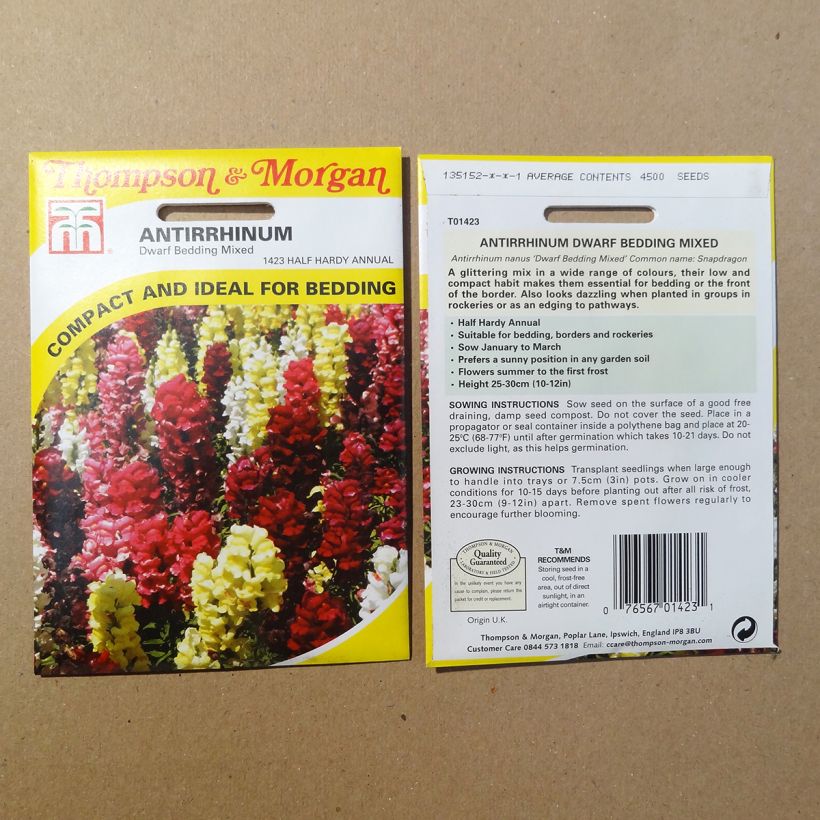 Ejemplo de ejemplar de Graines de Muflier nain  Dwarf Bedding Mixed - Antirrhinum nanum Graines tal y como se entrega