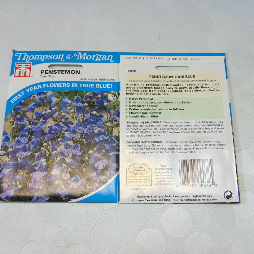 Ejemplo de ejemplar de Graines de Penstemon heterophyllus True Blue - Galane Graines tal y como se entrega