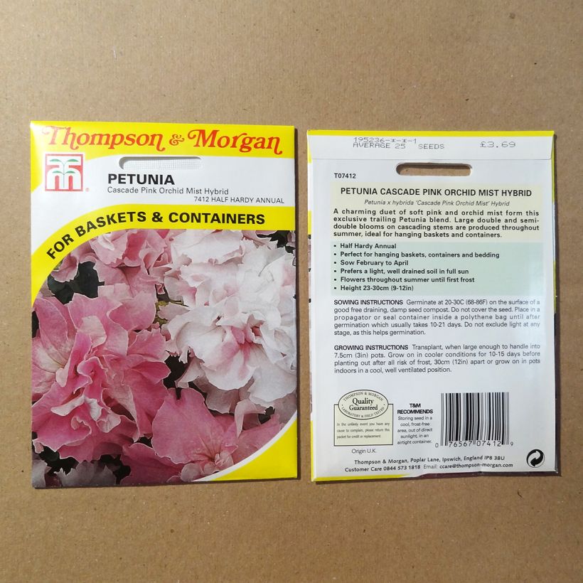 Ejemplo de ejemplar de Graines de Pétunia Cascade Pink Orchid Mist F1 Graines tal y como se entrega